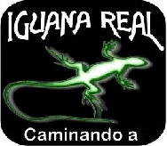 Iguana Real